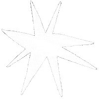 Illustration Star Sticker