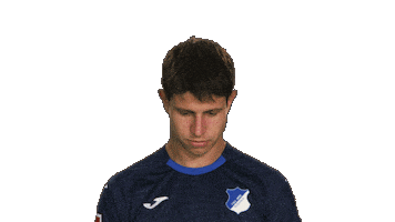 Look Up Tsg Hoffenheim Sticker by Bundesliga