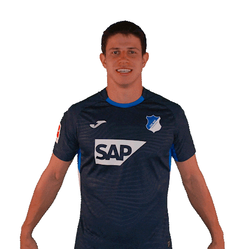 Sport Bundesliga Sticker by TSG Hoffenheim