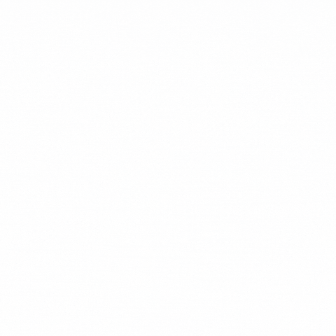 TSIC giphyupload GIF