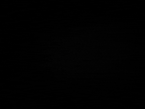 GIF by Beastarwithus