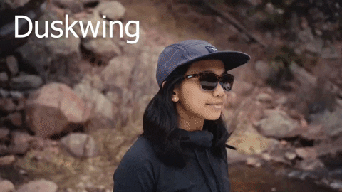 Climbing GIF by Zeal Optics