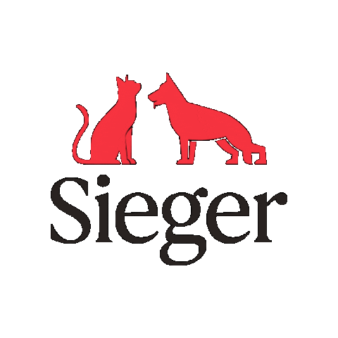 Cat Dog Sticker by Alican