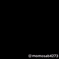 Flying Cat GIF