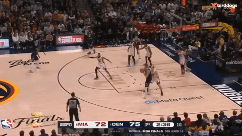 krahn23 giphygifmaker nba finals denver nuggets nikola jokic GIF