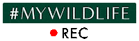 Mywildlife Sticker by SWAROVSKI OPTIK