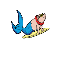 Pig And Fish Sticker