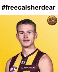 Hawthorn Hawks GIF