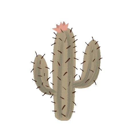 elimartinez-studio giphyupload nature plant cactus Sticker