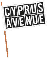 Cabelfast Sticker by Cyprus Avenue
