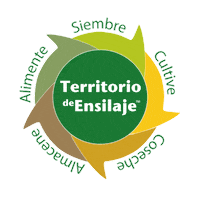 Pioneer Sticker by Agrotec S. A.
