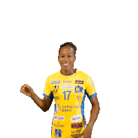 Handball Sticker by com1sport