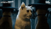 틴더스 GIF