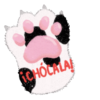 XindyFly_ cat gatito chocala xindyfly Sticker