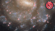 Flower Spinning GIF by ESA/Hubble Space Telescope