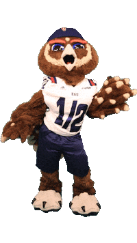 Happy Dance Sticker by Florida Atlantic University