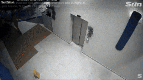 dayeon000 giphyupload GIF