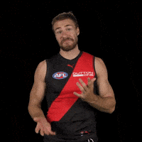 Ben Afl GIF by Essendon FC