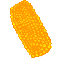 Corn Лето Sticker