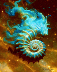 Deep Space Nautilus GIF by TresorsDuMonde.ca