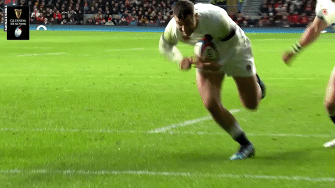 may 6 nations GIF by Guinness Six Nations