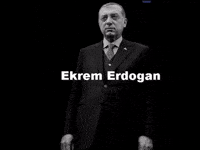Rte Dem GIF