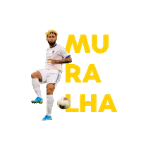 Sticker by Avante Sports