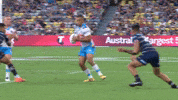 Gold Coast Titans GIF