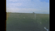 Oscar Wilde Indie Rock GIF by Topshelf Records