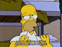 homer simpson episode 3 GIF