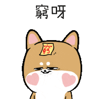 ladyhobi shiba poor mrshiba ladyhobi Sticker