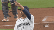 Baseball Point GIF by MLB