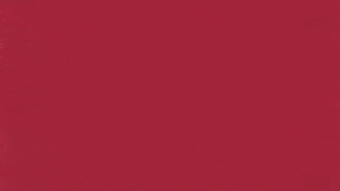Charroslmb2025 GIF by Charros de Jalisco