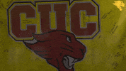 D3Soc Cuc19 GIF by CUCougars