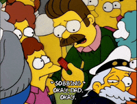 season 6 rod flanders GIF