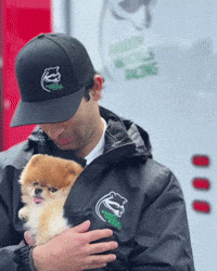 Pomeranian Kroshka GIF