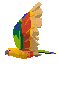 Bird Brazil Sticker by VJ Suave