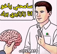 Morocco Algeria GIF