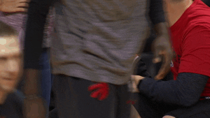 Happy Toronto Raptors GIF by NBA