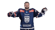 Celebration Goal Sticker by Fehervar AV19