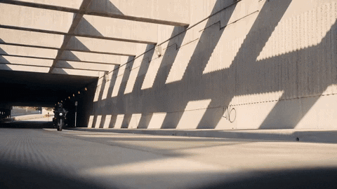 harleydavidson giphyupload harley harley-davidson h-d GIF