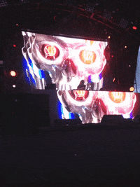 hangout fest skrillex gifs GIF by mtv