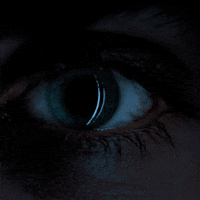 GIF by Stranger Things