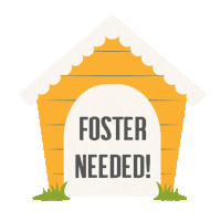 angelcitypits acpb acpbfoster fosterangelcitypits Sticker