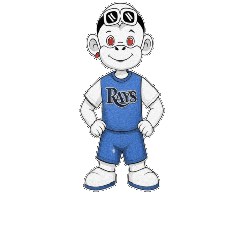 Tampa Bay Rays T Sticker by Zhot