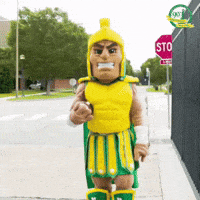 College Football GIF by Norfolk State University