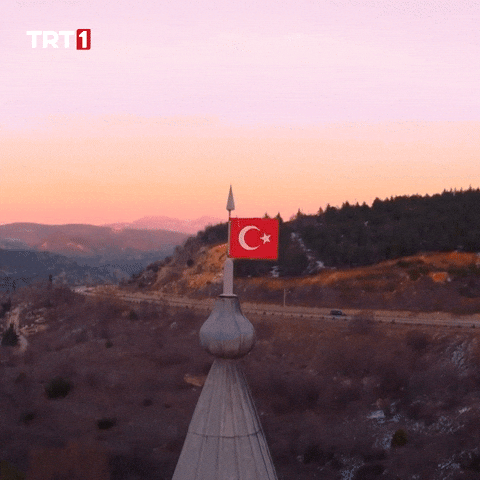 Turkey Turkish GIF by TRT