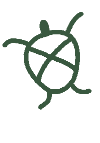 Puerto Rico Turtle Sticker by Alejandra Baiz