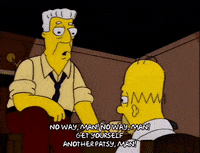 homer simpson episode 13 GIF