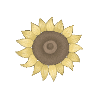 suisigart summer sticker flower spring Sticker